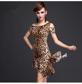 Brown blue leopard printed black one shoulder short sleeves women's ladies female competition stage performance latin samba salsa cha cha dance dresses sets